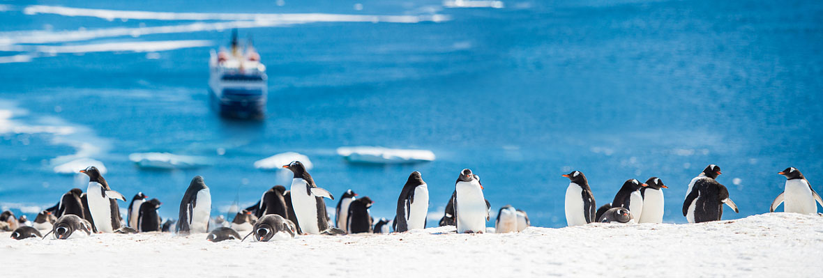 【房车之旅】带着流动的家穿越澳洲东海岸 眺望辽阔太平洋